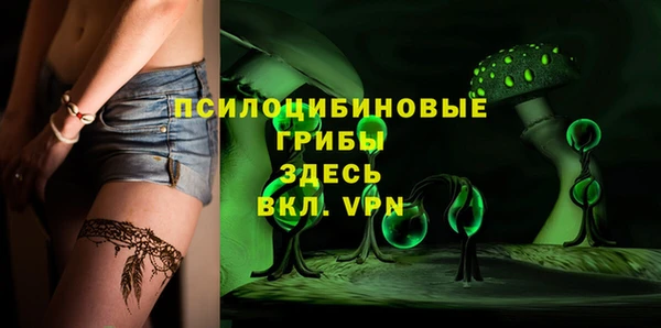 стафф Баксан