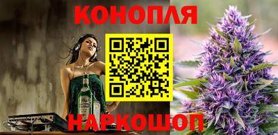 индика Комсомольск-на-Амуре