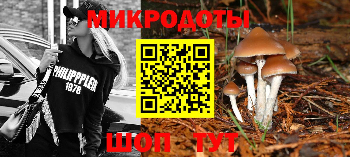 Галлюциногенные грибы прущие грибы  Вход с VPN  Корсаков  Псилоцибиновые грибы Psilocybine cubensis 
